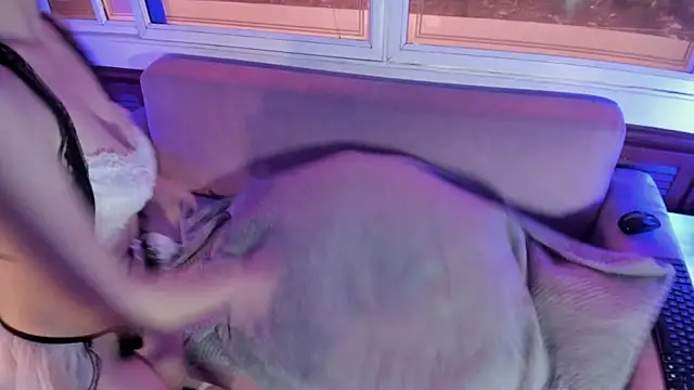 ReiAyanamy online show from 03.28.26