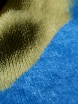 Snapshot of GG23MVP chatting on 11.30.25 GG23MVP online show from 11.30.25