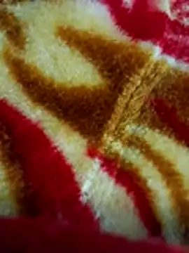 Snapshot of sangeeta_lodhi chatting on 11.28.25 sangeeta lodhi online show from 11.28.25