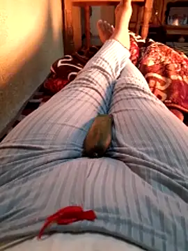 Tota sexi online show from 12.04.25