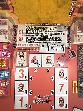 z1366 online show from 11.12.25