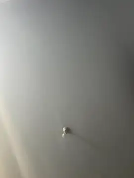 Snapshot of stripboy1b chatting on 11.13.25 stripboy1b online show from 11.13.25