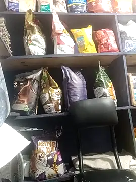 eva rushh online show from 03.09.26