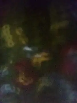 Disha Nur0 online show from 03.13.26