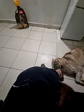 Snapshot of RITAEGIH chatting on 03.02.26 RITAEGIH online show from 03.02.26