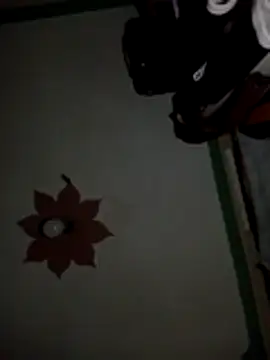 Snapshot of honeypot224 chatting on 03.15.26 honeypot224 online show from 03.15.26