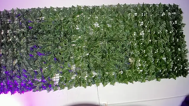 LiilithStonne online show from 03.16.26