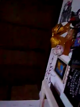 Snapshot of ESKO-04 chatting on 01.13.26 ESKO-04 online show from 01.13.26