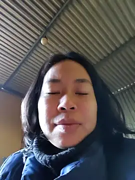 Cat-meow online show from 11.26.25