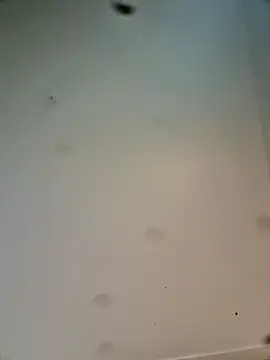 Hardwarelane67 online show from 03.23.26