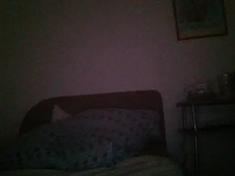 holy1996 online show from 11.23.25