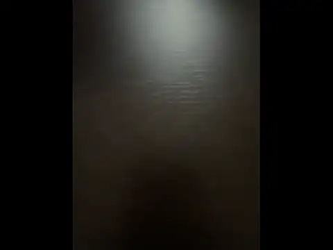 Snapshot of Pineapple chatting on 11.19.25 Pineapple online show from 11.19.25