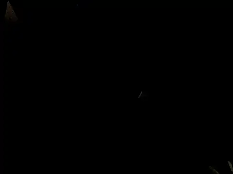 Savannah Cock online show from 02.23.26