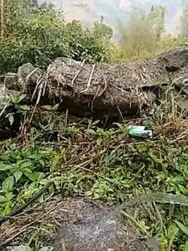 Snapshot of Pampirara chatting on 03.26.26 Pampirara online show from 03.26.26