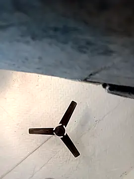 Reema 143 online show from 02.19.26