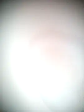 Ariana101 online show from 11.24.25