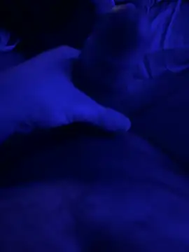 darknebula80 online show from 02.14.26