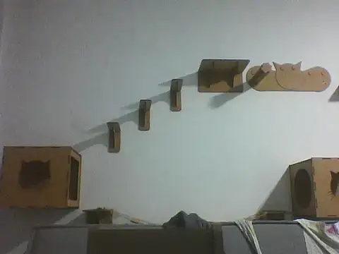 Temp7 online show from 02.25.26