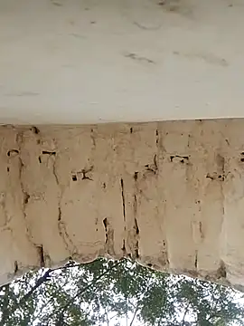 Snapshot of Xxx_suhana chatting on 11.27.25 Xxx suhana online show from 11.27.25