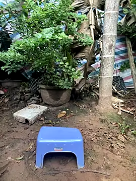 XndSeraphina online show from 12.03.25