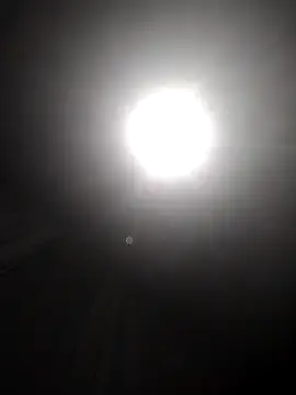 Gzinho69ik online show from 12.18.25