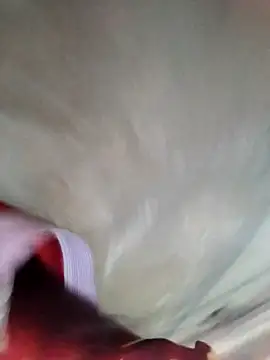 Snapshot of Minsexy66 chatting on 12.02.25 Minsexy66 online show from 12.02.25