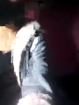 beba1100 online show from 11.30.25