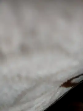 Snapshot of jiniya6789 chatting on 01.05.26 jiniya6789 online show from 01.05.26