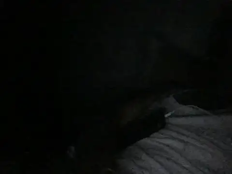 modiji 999 online show from 03.05.26