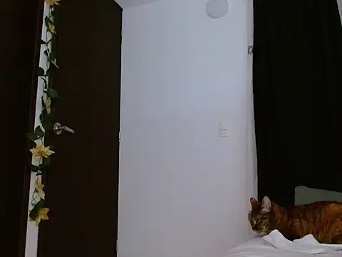 seductrixee online show from 01.12.26