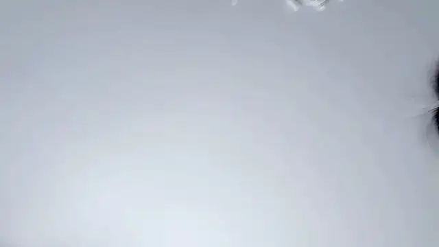 Celestisse- online show from 11.29.25