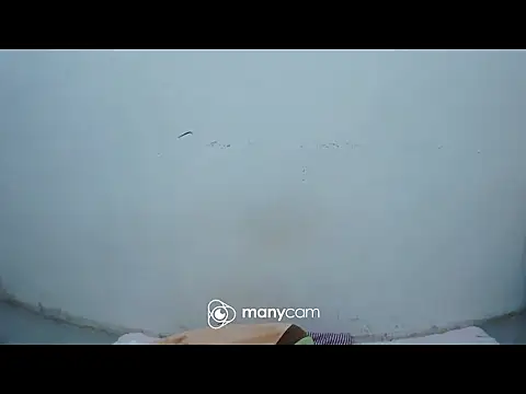 hottiemama69 online show from 04.11.26