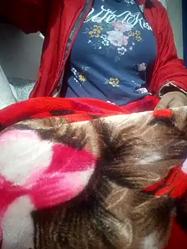 Snapshot of SassyDiy chatting on 01.13.26 SassyDiy online show from 01.13.26