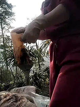 Alibabapi online show from 03.01.26