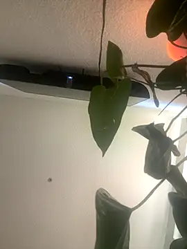 Snapshot of redheadangel_5 chatting on 11.29.25 redheadangel 5 online show from 11.29.25