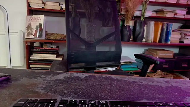 Snapshot of diogene11 chatting on 11.29.25 diogene11 online show from 11.29.25