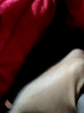 mast boy online show from 12.14.25