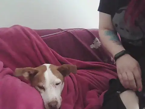 Darkytah online show from 02.20.26