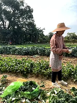 A-ZJunn online show from 01.12.26