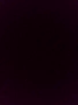 gatitachula93 online show from 04.13.26