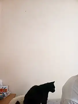 Calypso-Loove online show from 05.17.26