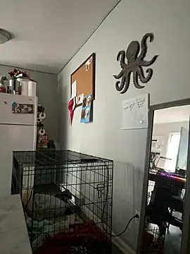 alluringpixie online show from 03.22.26