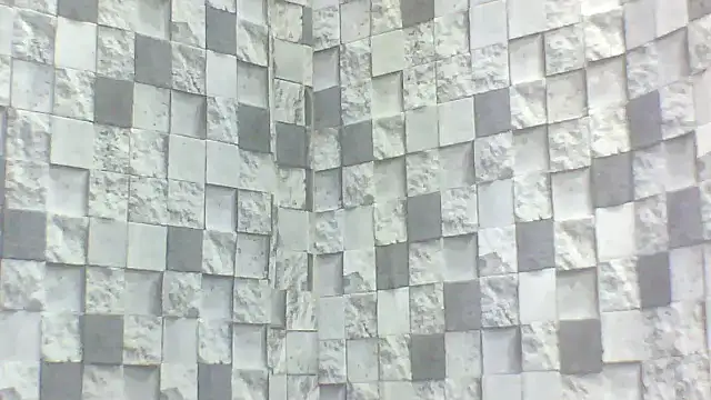 Exotic indian95 online show from 04.16.26