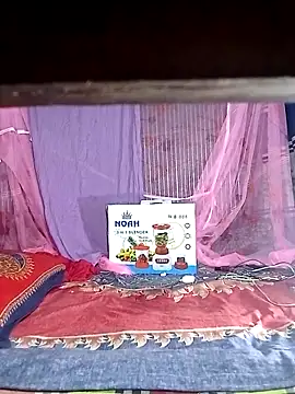 porimoi 505 online show from 04.07.26