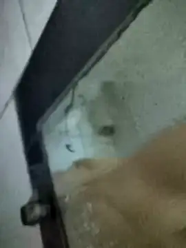 Snapshot of Amoooooun chatting on 01.15.26 Amoooooun online show from 01.15.26