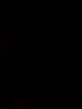 Snapshot of nehakapoor89 chatting on 12.14.25 nehakapoor89 online show from 12.14.25