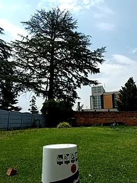 PetiteDoll 06 online show from 02.21.26