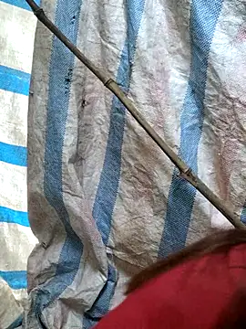 Snapshot of mit0-77 chatting on 02.15.26 mit0-77 online show from 02.15.26