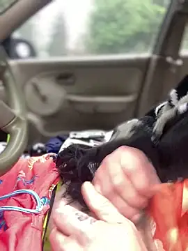 Snapshot of Ldnick69 chatting on 03.24.26 Ldnick69 online show from 03.24.26