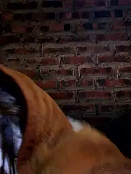 Snapshot of yana-zz chatting on 01.13.26 yana-zz online show from 01.13.26